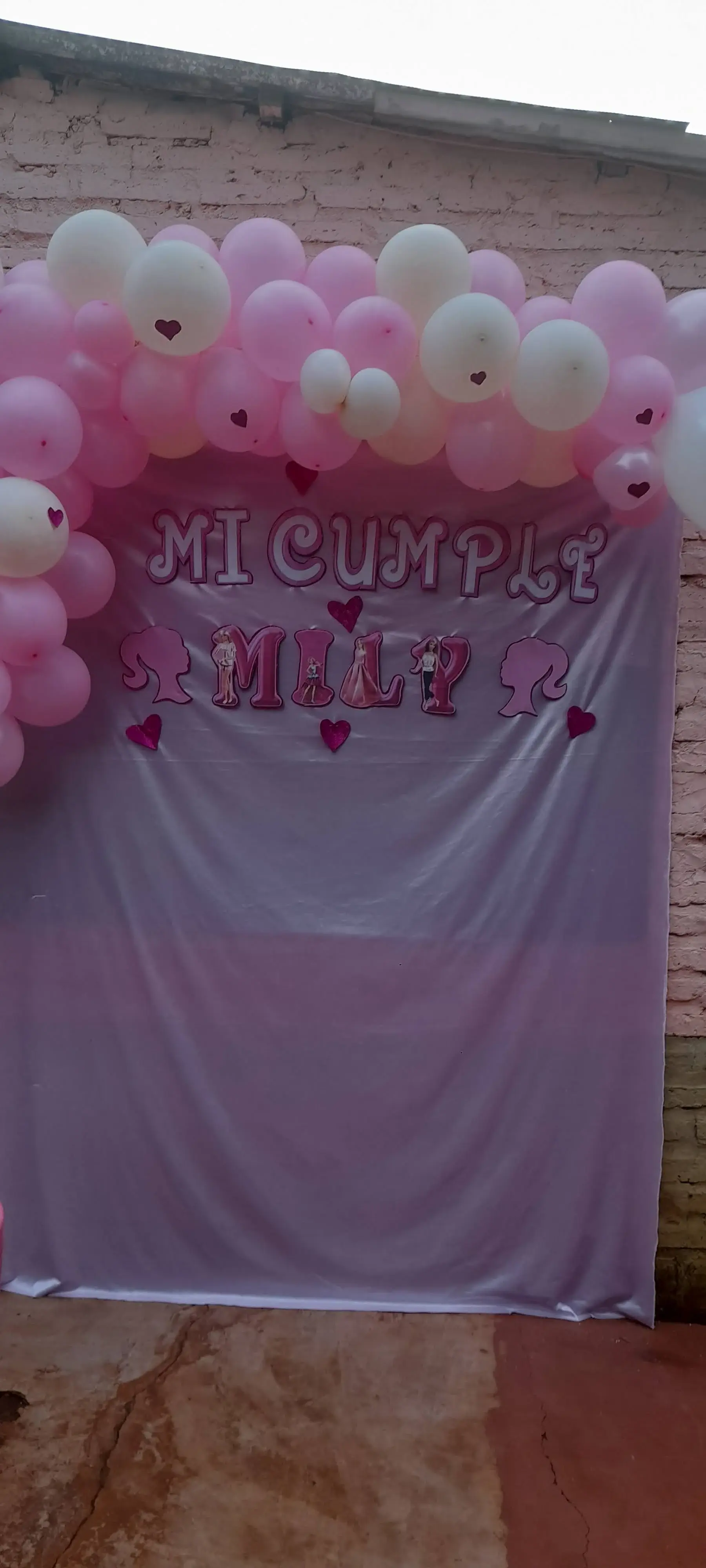 imagen31