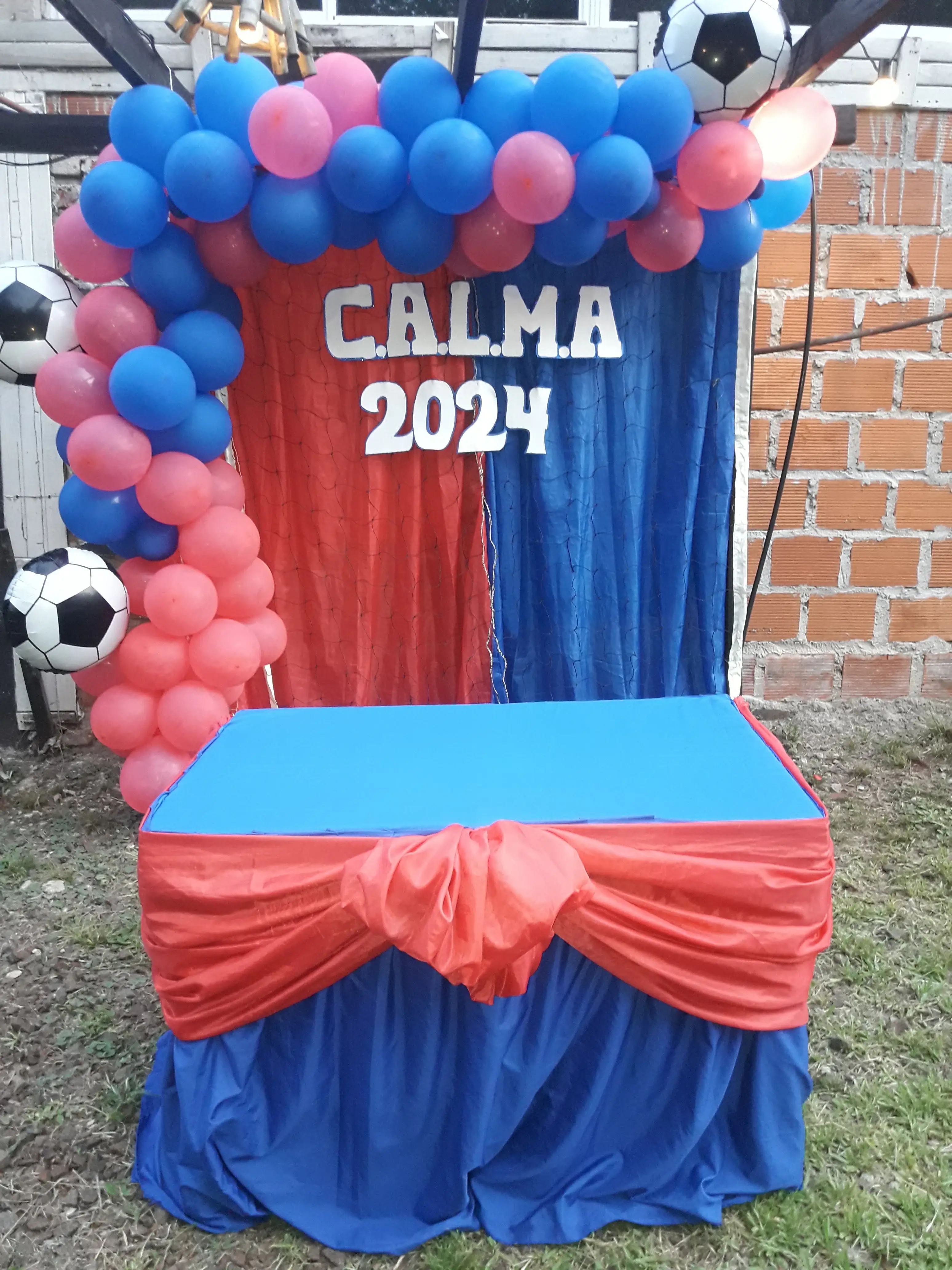 imagen38